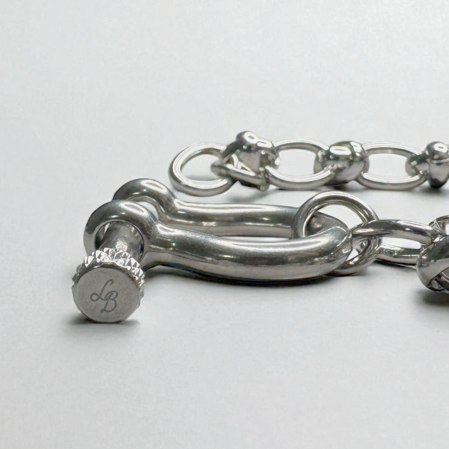 Horseshoe Chain Bracelet