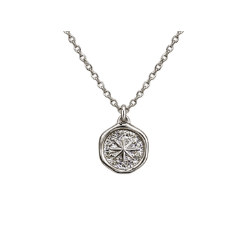 【ステンレス 刻印無料 サークルネックレス】Star Light Circle Necklace